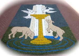 Infiorata per le strade di Paciano - 2, 3 Giugno 2018